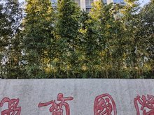 上海松江,日租金